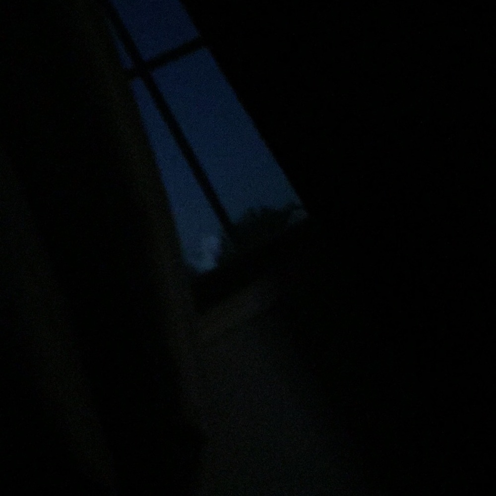 Meet your Posher, Nikia